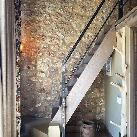 Selene Luxury Sinevron